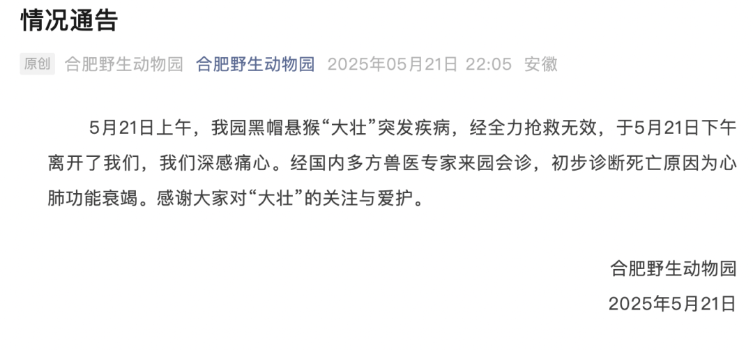 官方确认：“大壮”已死亡！死因公布