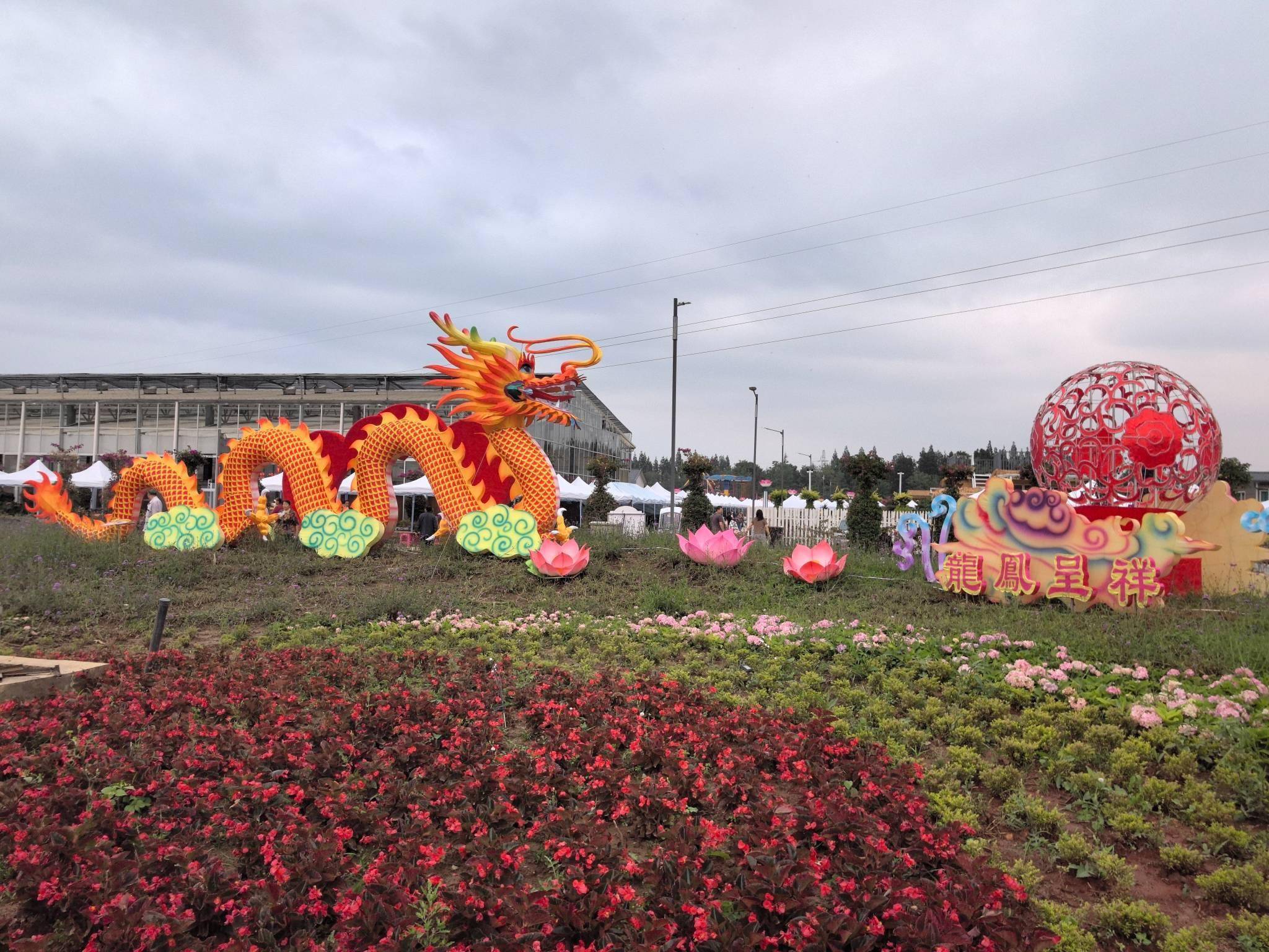 2025宜良花街系列活动将于5月30日启动 展示“中国花卉苗木之城”魅力
