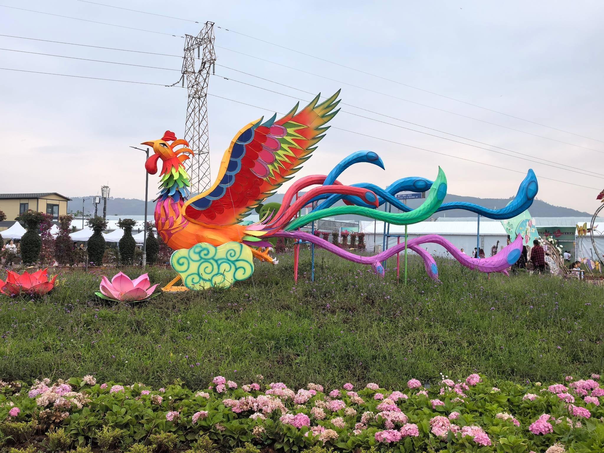 2025宜良花街系列活动将于5月30日启动 展示“中国花卉苗木之城”魅力