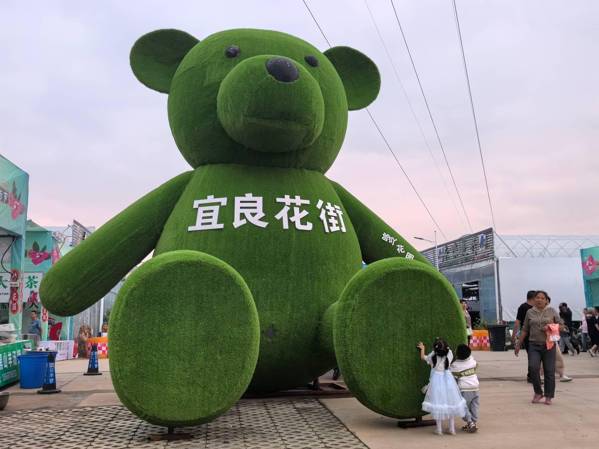 2025宜良花街系列活动将于5月30日启动 展示“中国花卉苗木之城”魅力