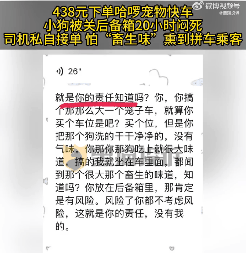 哈啰宠物快车小狗被关后备箱闷死