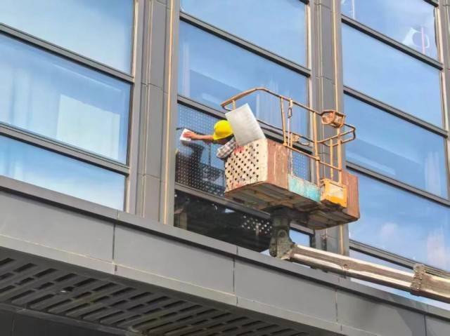 北京一座大厦楼下躺了14只鸟，12只已死亡！元凶竟是玻璃