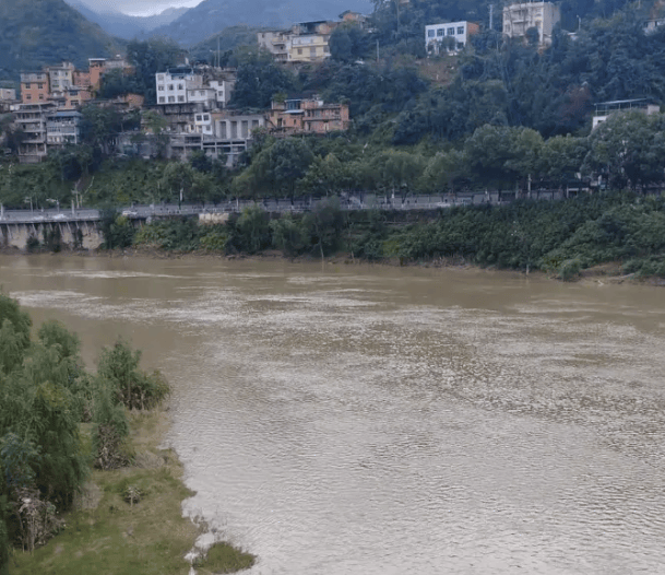 造谣“新娘加价两万彩礼致新郎及其母亲跳河”，3名网民被公安机关批评教育和行政处罚