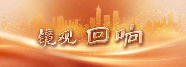 镜观·回响丨以文化人 以文育人