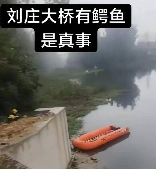 山东一河道出现鳄鱼？目击者：体长超1米，体重约四五十斤，消防人员乘皮划艇拉网排查，最新进展