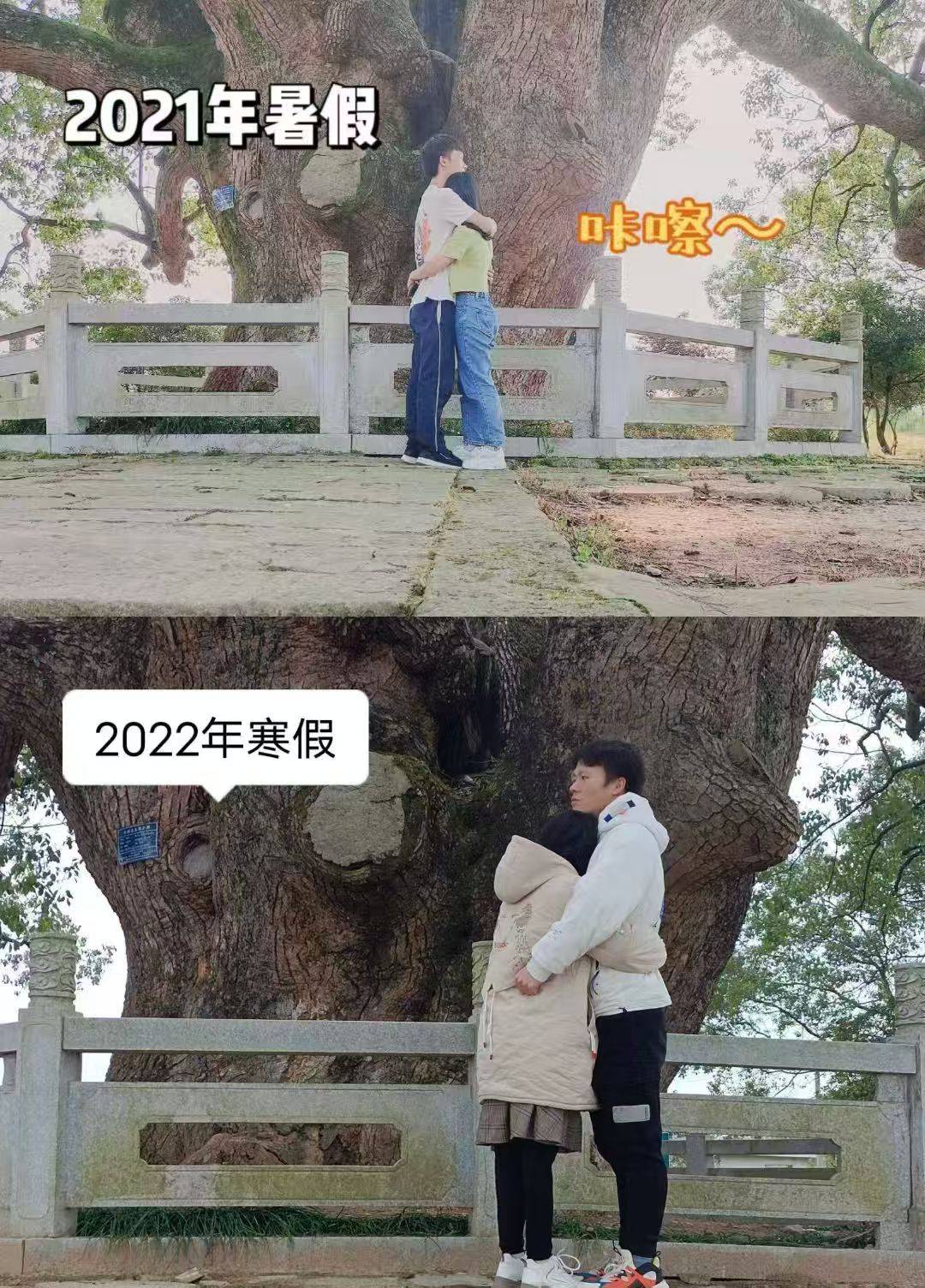 岳阳情侣连续9年在家乡千年古樟树下合影，今年国庆终修正果：希望爱情像古树一样长久