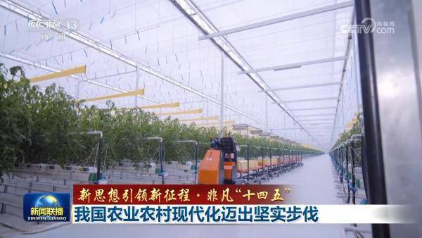 【新思想引领新征程·非凡“十四五”】我国农业农村现代化迈出坚实步伐