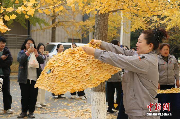大连外国语大学保洁阿姨化身“大地艺术家” 用银杏叶装点校园温情