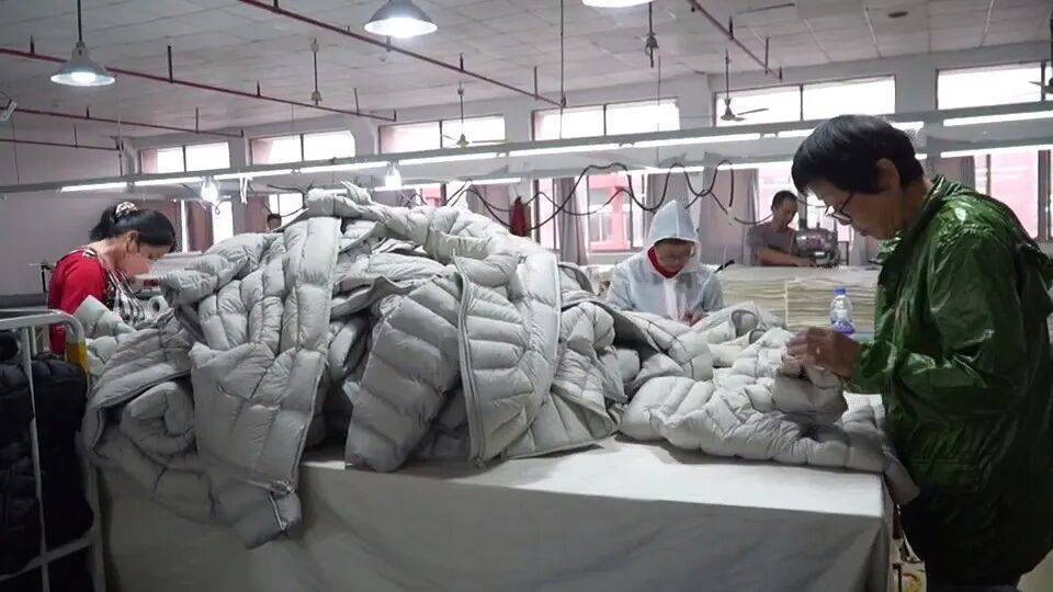 月入15000-20000元！浙江这一职业吃香，网友：真的很辛苦……