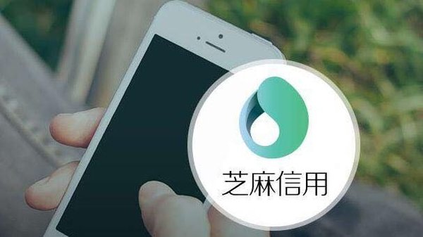 她理财网(她理财安全吗)