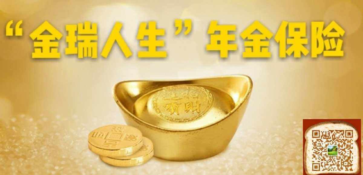 最好的理财险(理财保险哪家公司比较好)